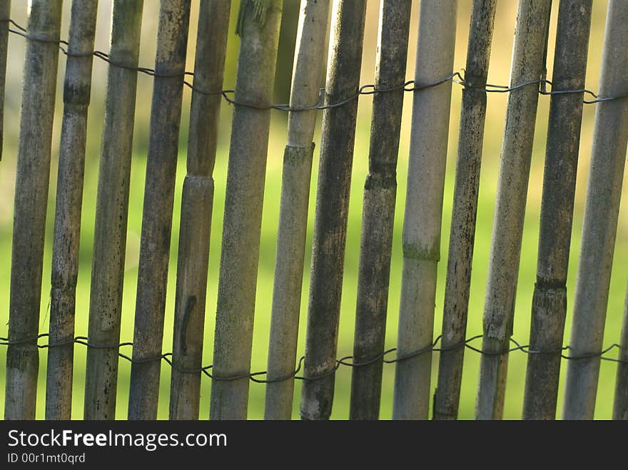 Bamboo fence