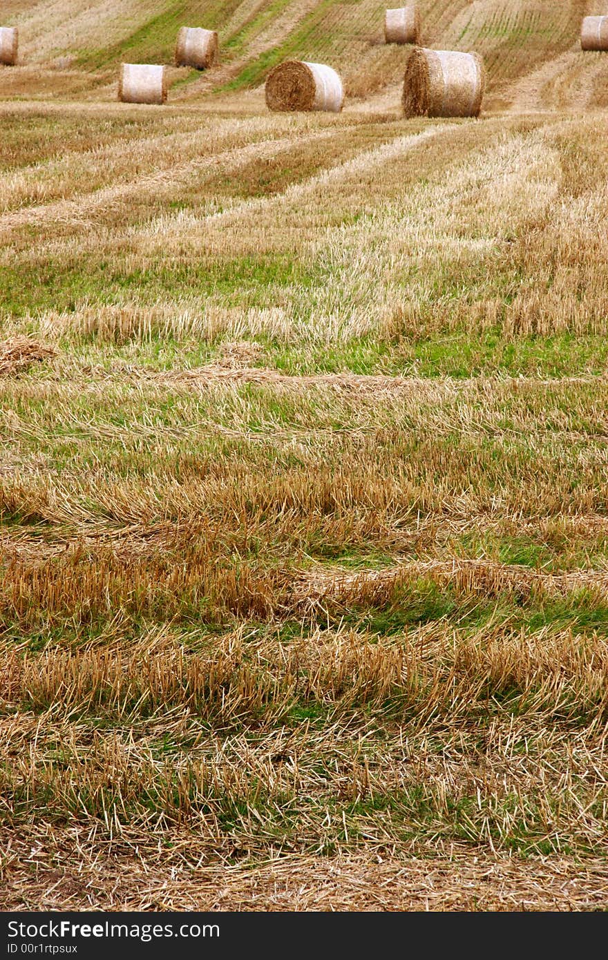 A scenic view in the irish countryside. A scenic view in the irish countryside