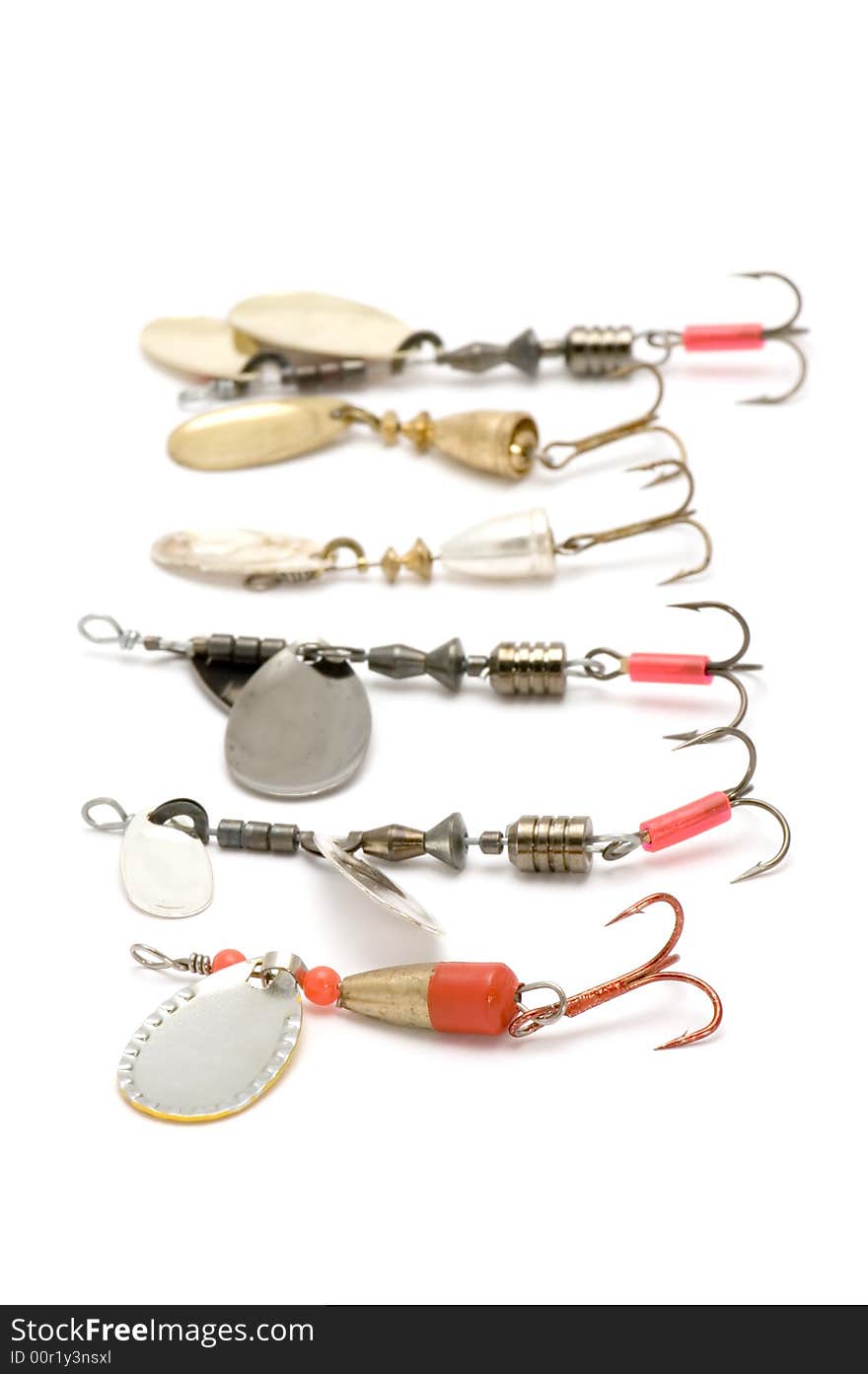 Set of minnow on white