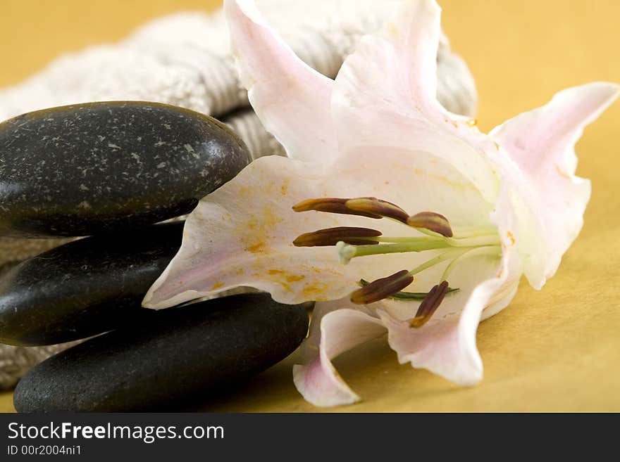 Zen Stones with white towels and fresh rose petals on earth color background