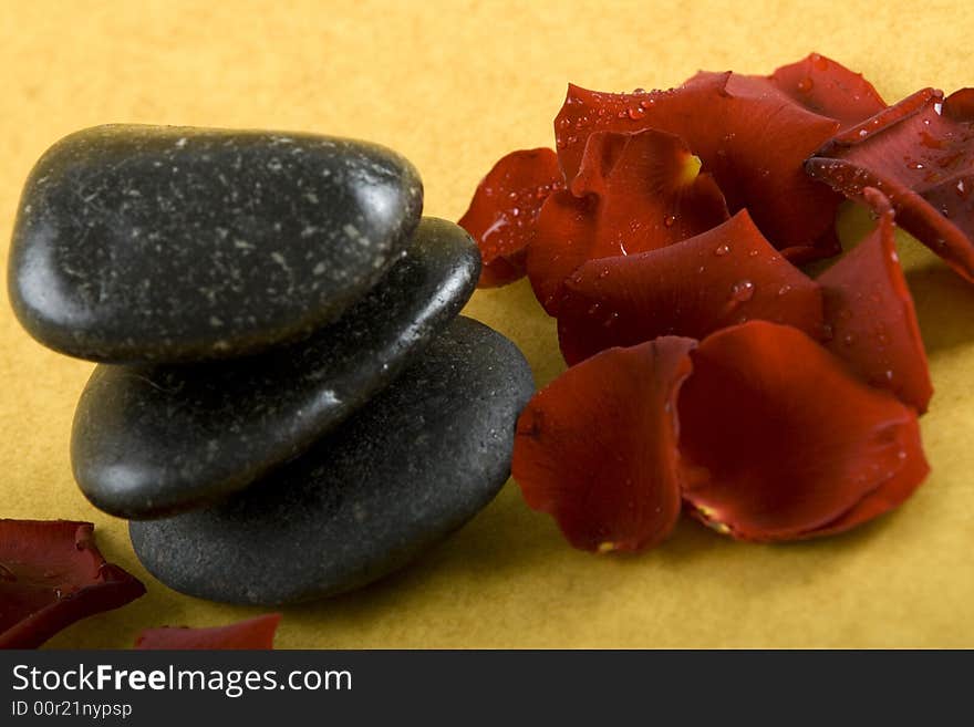 Zen Stones with white towels and fresh rose petals on earth color background