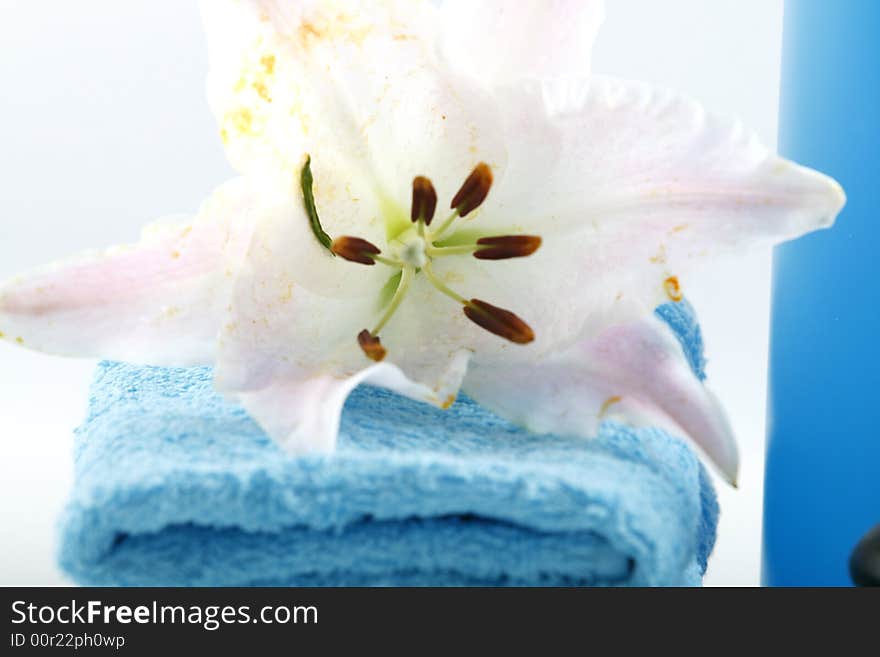 White towels and fresh lily on white color background