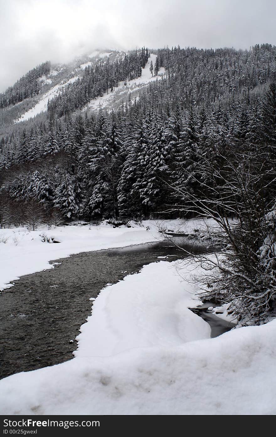 Mountain Stream