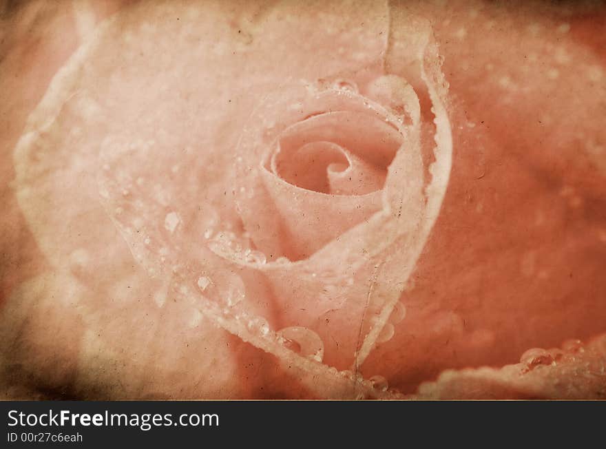 Vintage valentine's card with sepia rose. Vintage valentine's card with sepia rose