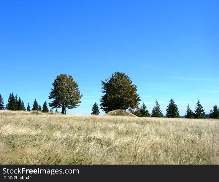 Nice landscape with forest,  hills and meadows. Nice landscape with forest,  hills and meadows