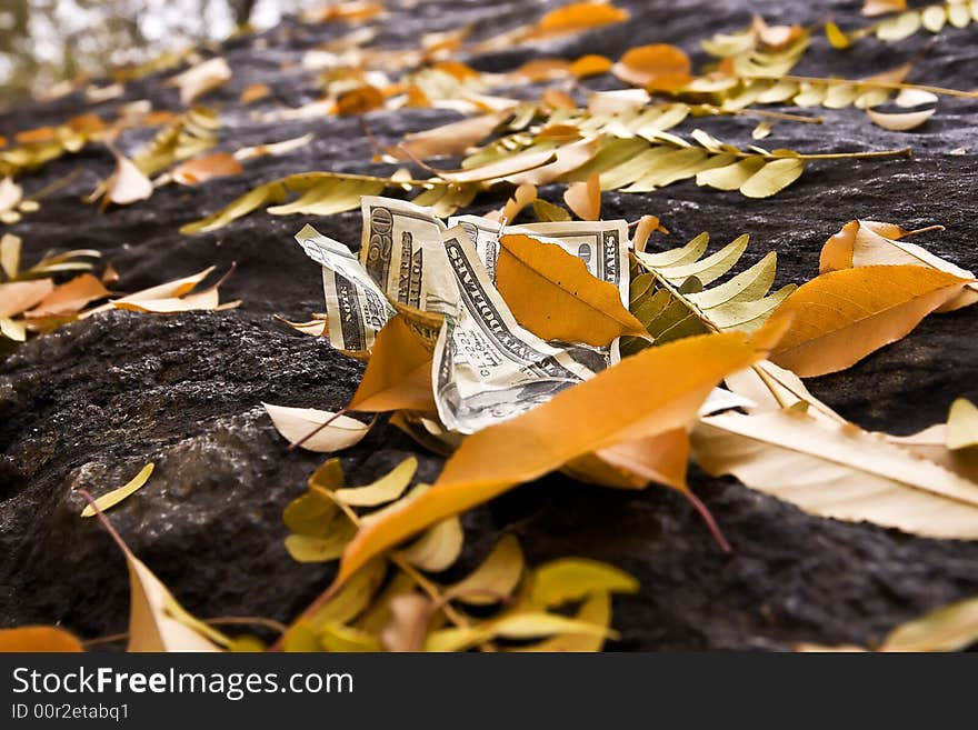 $20 dollar bills on the ground with fallen leaves.