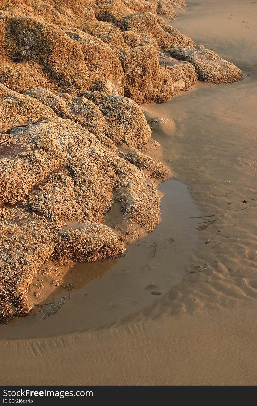 Rock and sand at low tide - Cape Lookout State Park