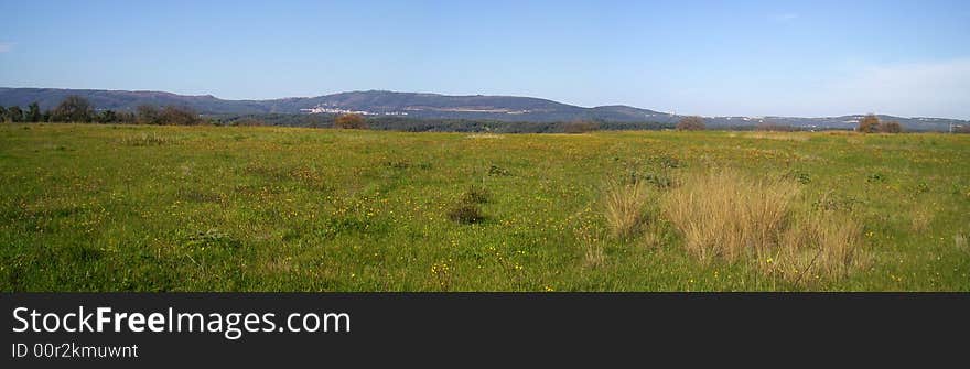 View of a calabrian field. View of a calabrian field