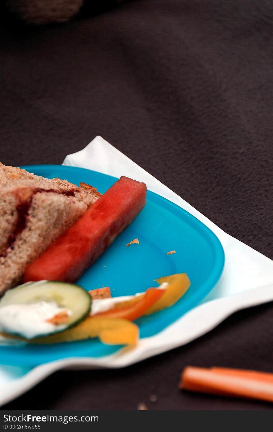 Remains of picnic food with disposable plate