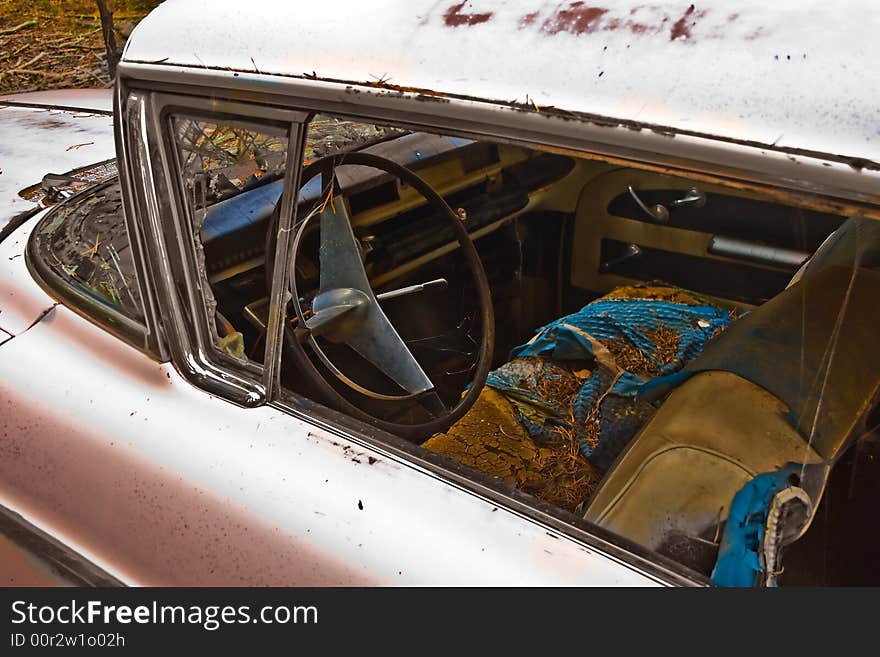 The interior of a pink special hardtop abandoned in the woods complete with ratty foam and dirt. The interior of a pink special hardtop abandoned in the woods complete with ratty foam and dirt