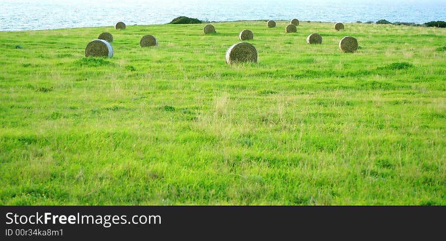 Meadow and the hay rolls.