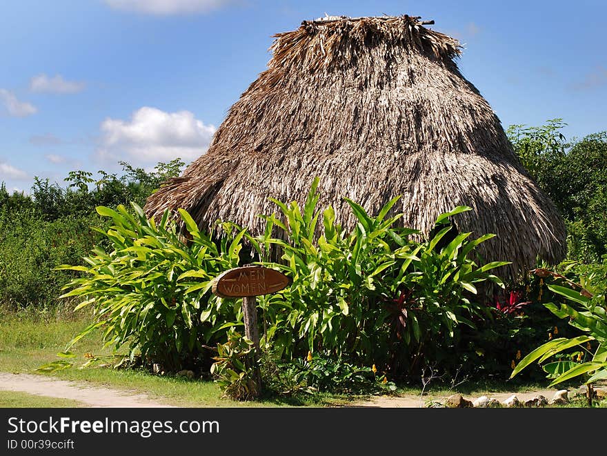 Ecological park's restroom in Belize. Ecological park's restroom in Belize.