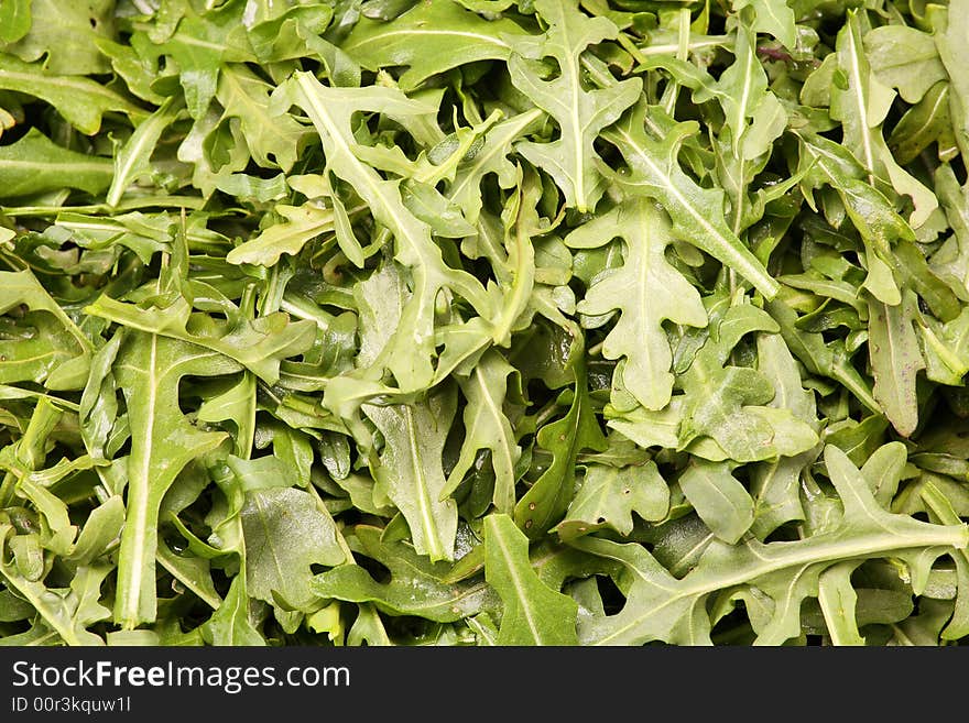 Fresh rucola background