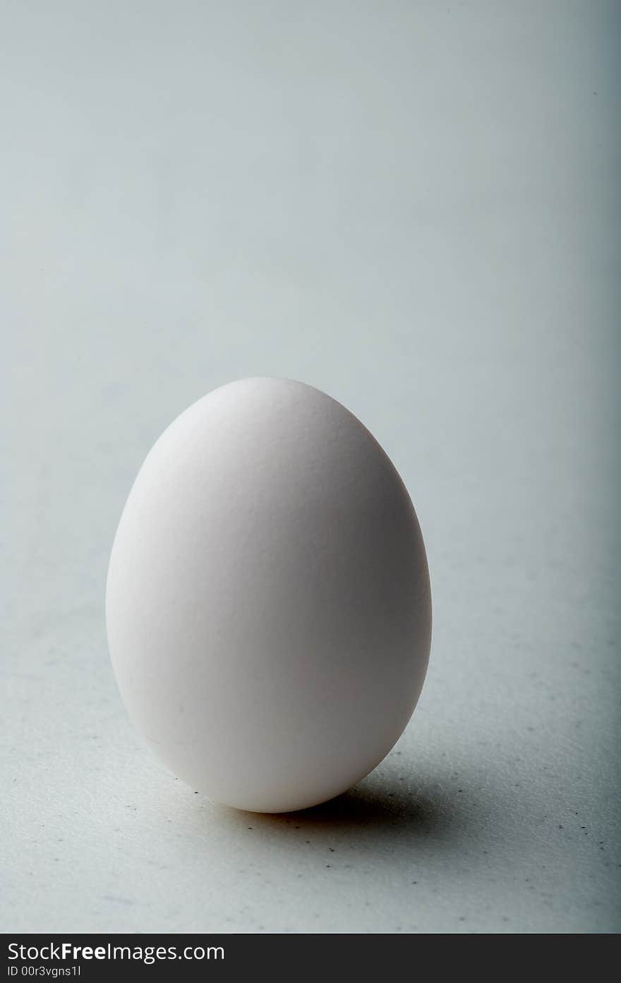 Image of a single egg on a neutral background with shadow. Image of a single egg on a neutral background with shadow