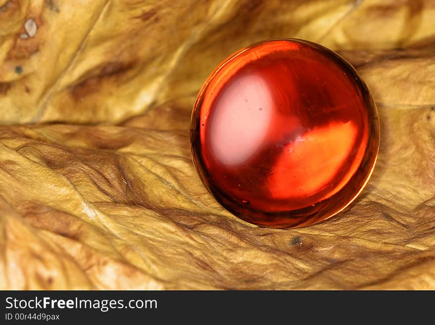 Red glass ball on brown leaf