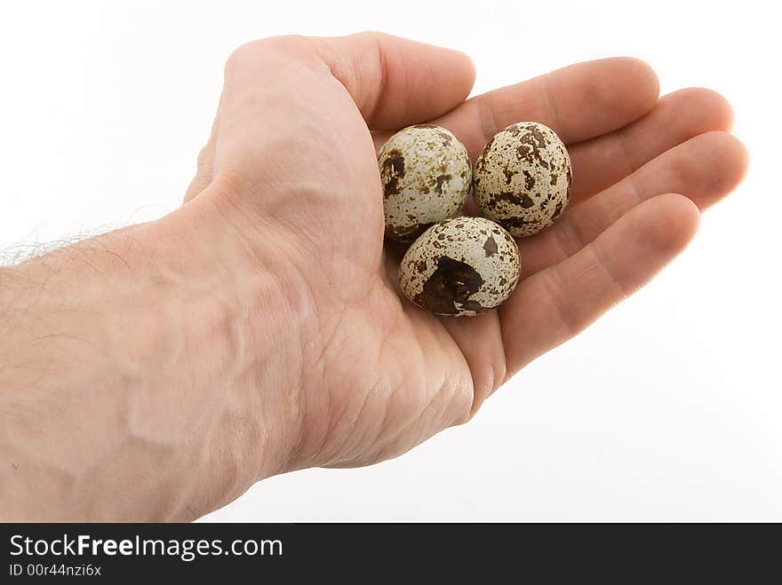 Three egg in hand on white background. Three egg in hand on white background