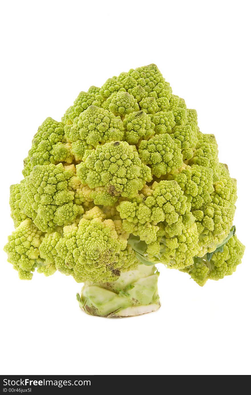 heads broccoli on white background. heads broccoli on white background