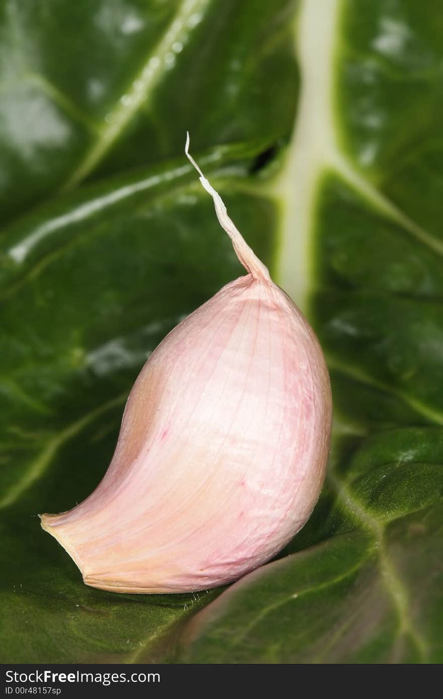 Garlic on leaf