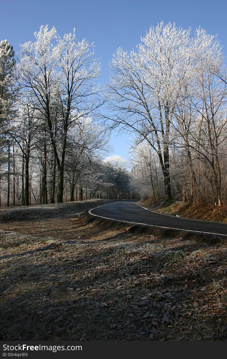 Street through the wintery Košutnjak near Belgrade, Serbia