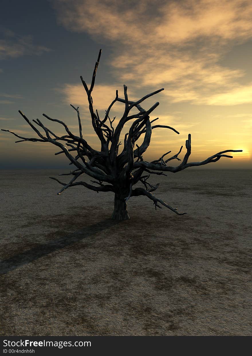 An image of a dead tree within a barren wilderness landscape, whilst the sunsets or rises in the background. An image of a dead tree within a barren wilderness landscape, whilst the sunsets or rises in the background.