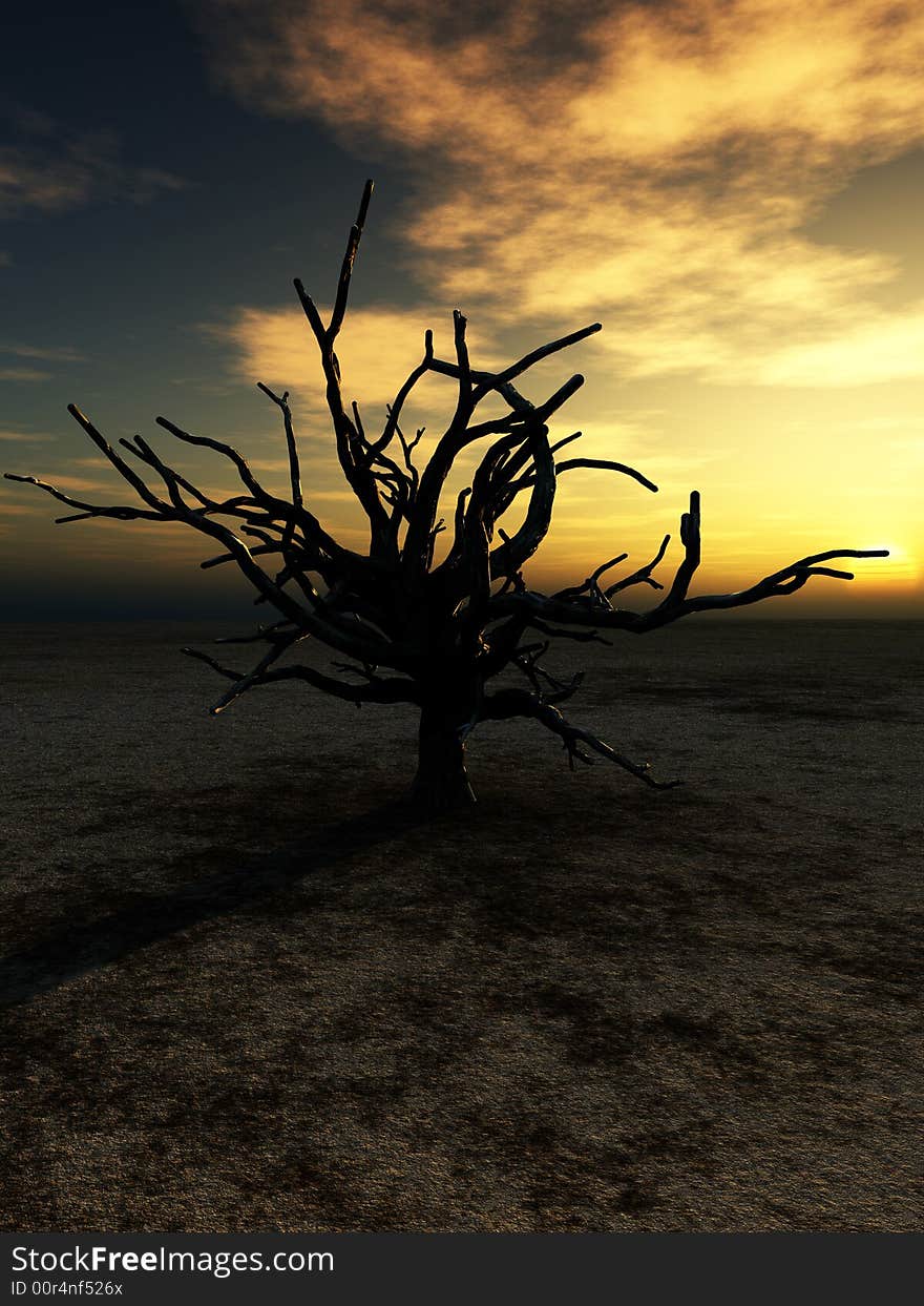 An image of a dead tree within a barren wilderness landscape, whilst the sunsets or rises in the background. An image of a dead tree within a barren wilderness landscape, whilst the sunsets or rises in the background.