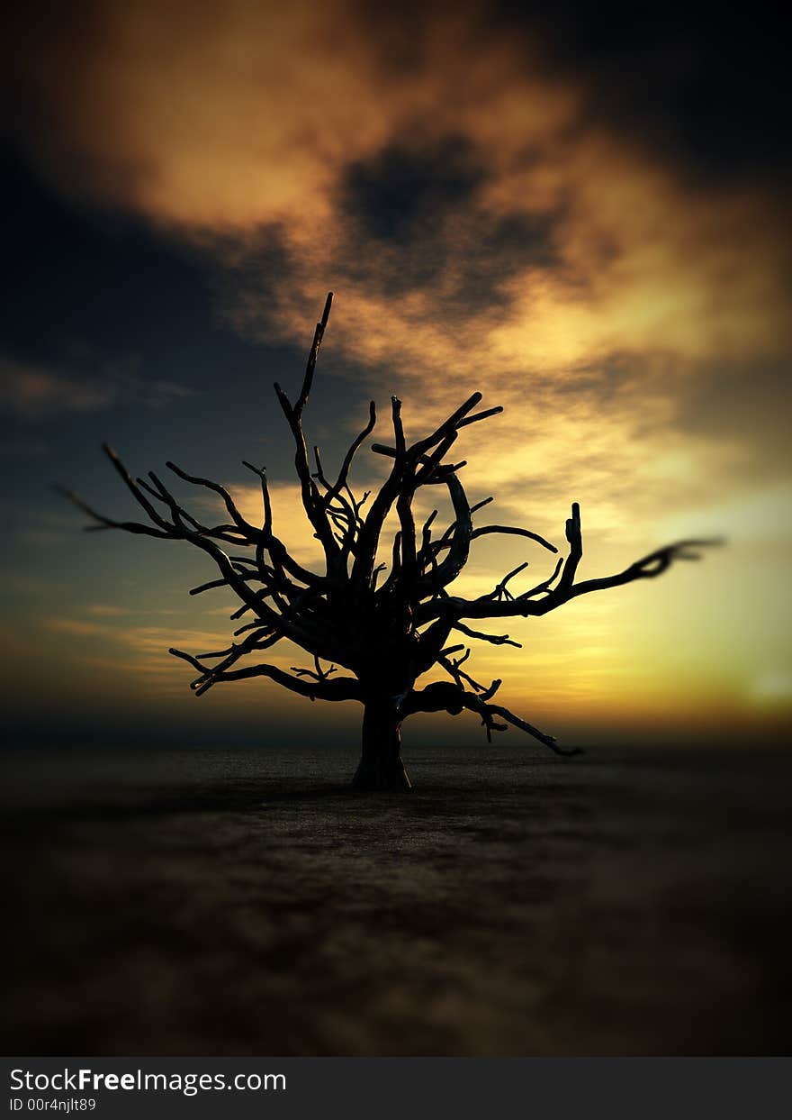 An image of a dead tree within a barren wilderness landscape, whilst the sunsets or rises in the background. An image of a dead tree within a barren wilderness landscape, whilst the sunsets or rises in the background.