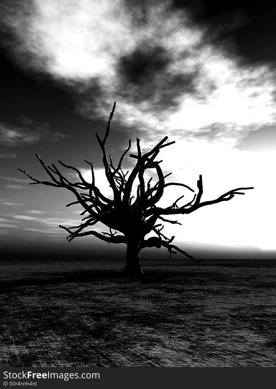 An image of a dead tree within a barren wilderness landscape, whilst the sunsets or rises in the background. An image of a dead tree within a barren wilderness landscape, whilst the sunsets or rises in the background.