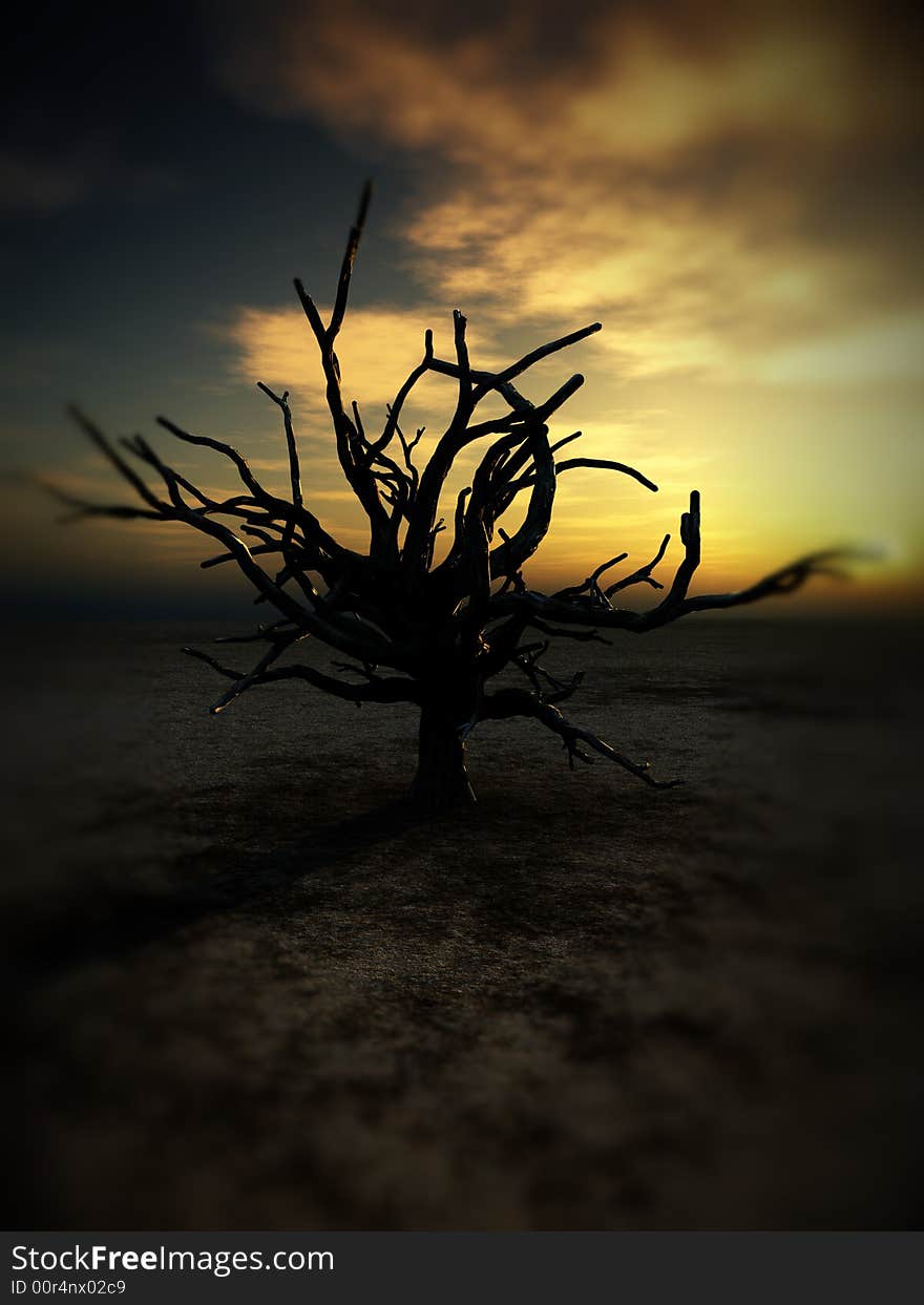 An image of a dead tree within a barren wilderness landscape, whilst the sunsets or rises in the background. An image of a dead tree within a barren wilderness landscape, whilst the sunsets or rises in the background.