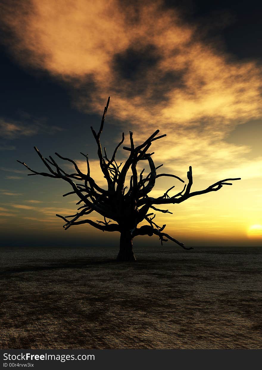 An image of a dead tree within a barren wilderness landscape, whilst the sunsets or rises in the background. An image of a dead tree within a barren wilderness landscape, whilst the sunsets or rises in the background.