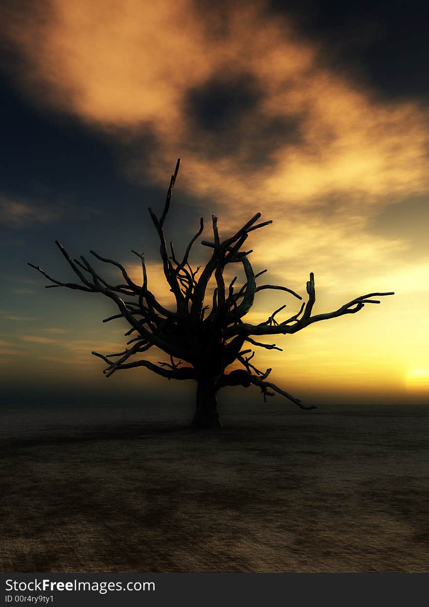 An image of a dead tree within a barren wilderness landscape, whilst the sunsets or rises in the background. An image of a dead tree within a barren wilderness landscape, whilst the sunsets or rises in the background.