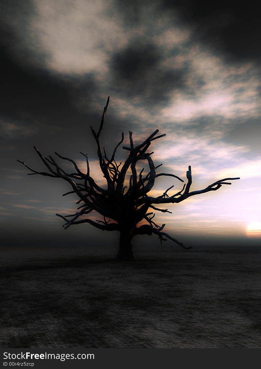 An image of a dead tree within a barren wilderness landscape, whilst the sunsets or rises in the background. An image of a dead tree within a barren wilderness landscape, whilst the sunsets or rises in the background.