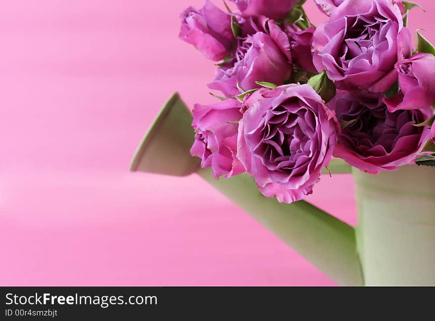 A green watering can full of pink springtime roses. A green watering can full of pink springtime roses