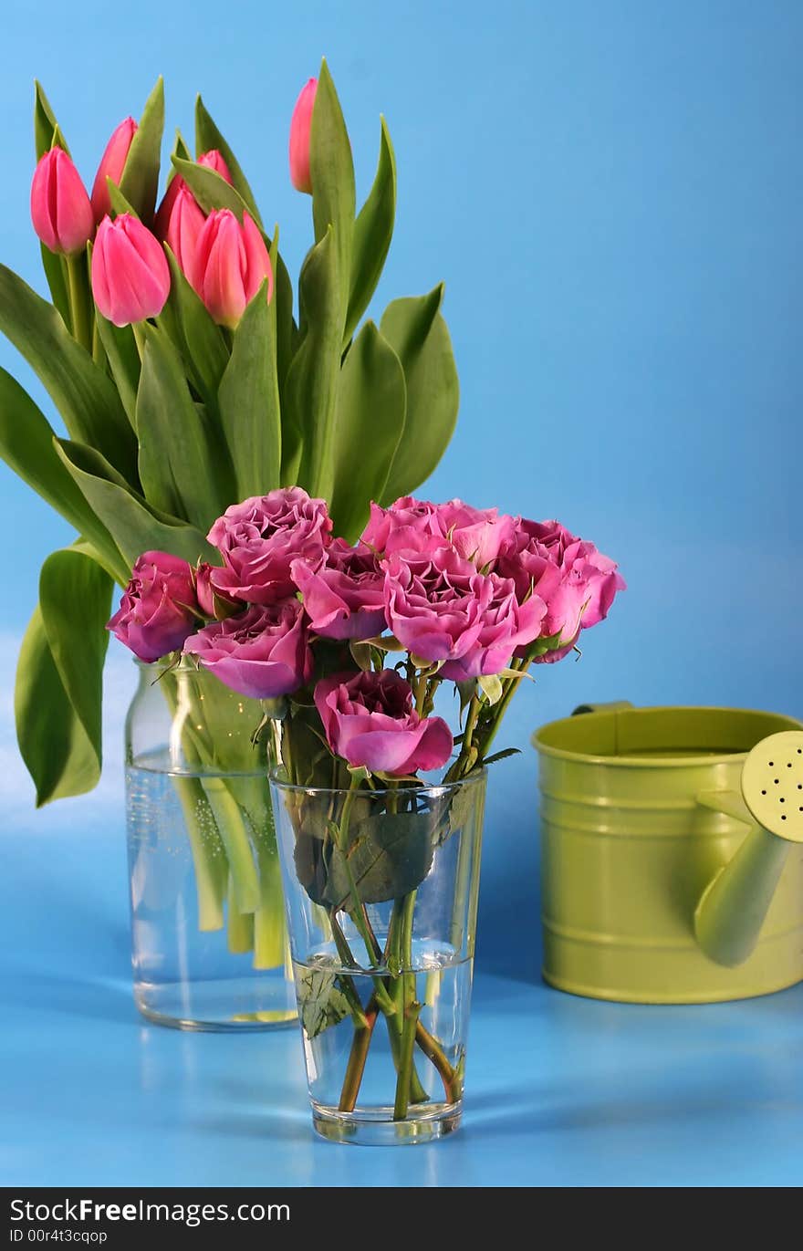 Bunches of pink roses and tulips with a green watering can. Bunches of pink roses and tulips with a green watering can