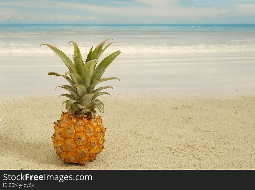 Pineapple on an exotic beach with blue and cloudy sky. Pineapple on an exotic beach with blue and cloudy sky.