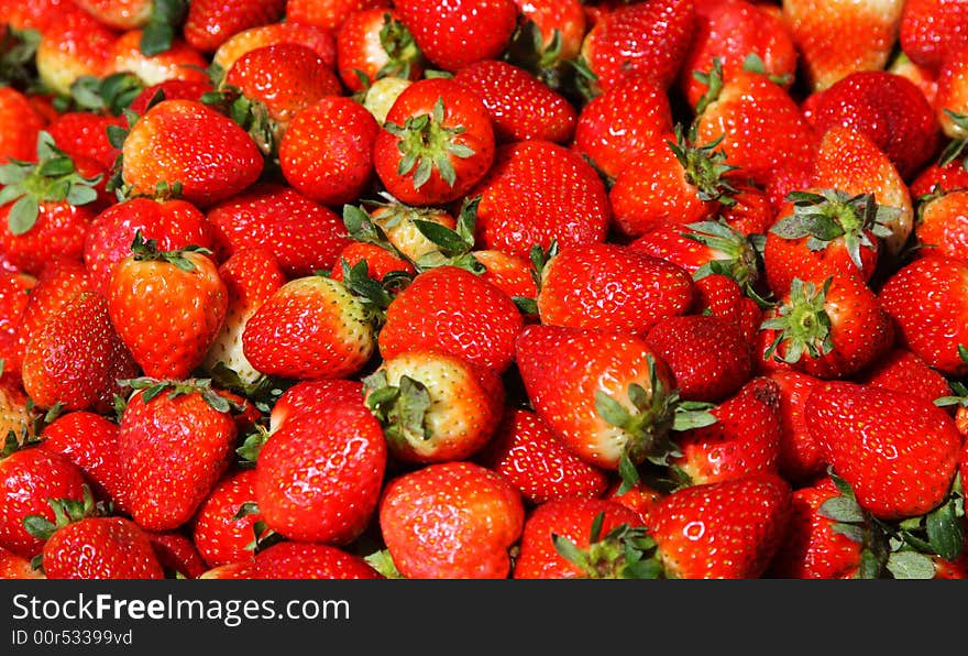 Red Strawberry from Poas Volcano (Costa Rica)