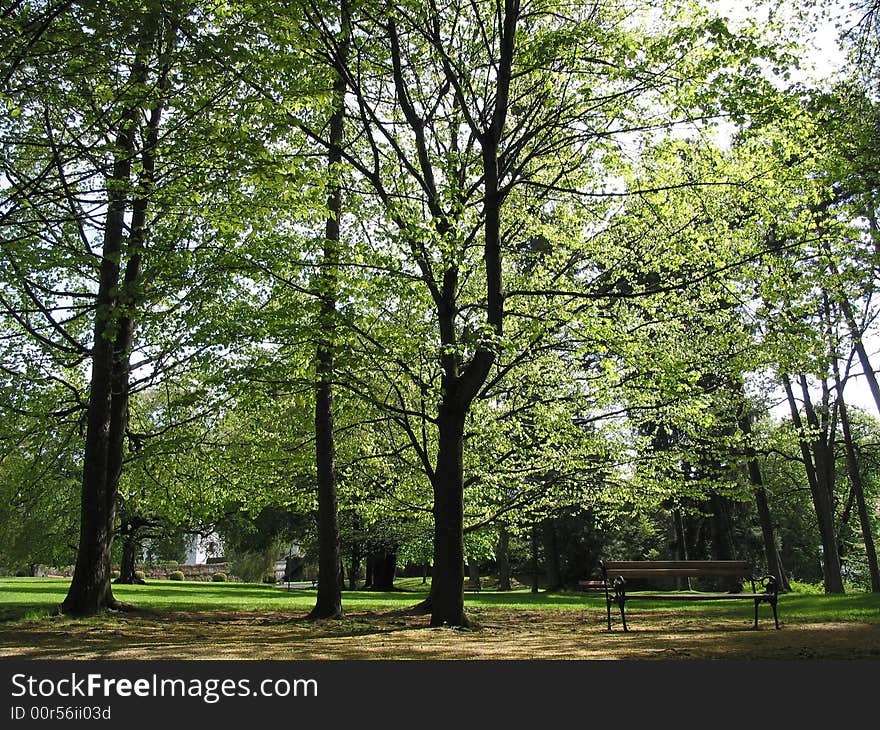 Tree in a park in Tirol, Austria. Tree in a park in Tirol, Austria