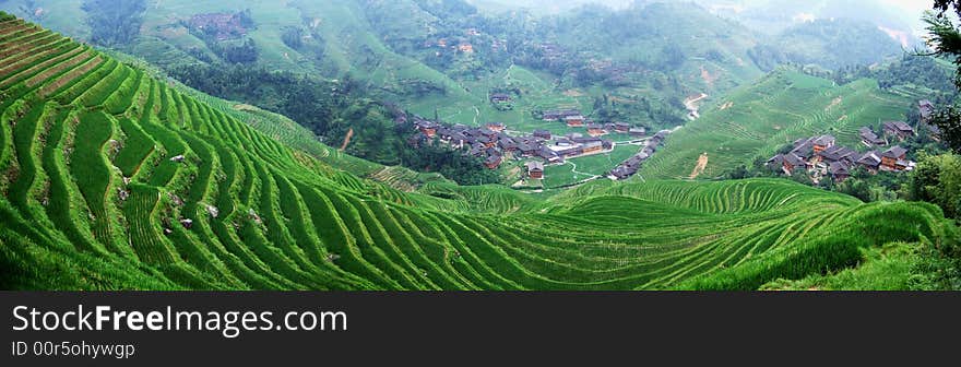 Terraced Field And Village