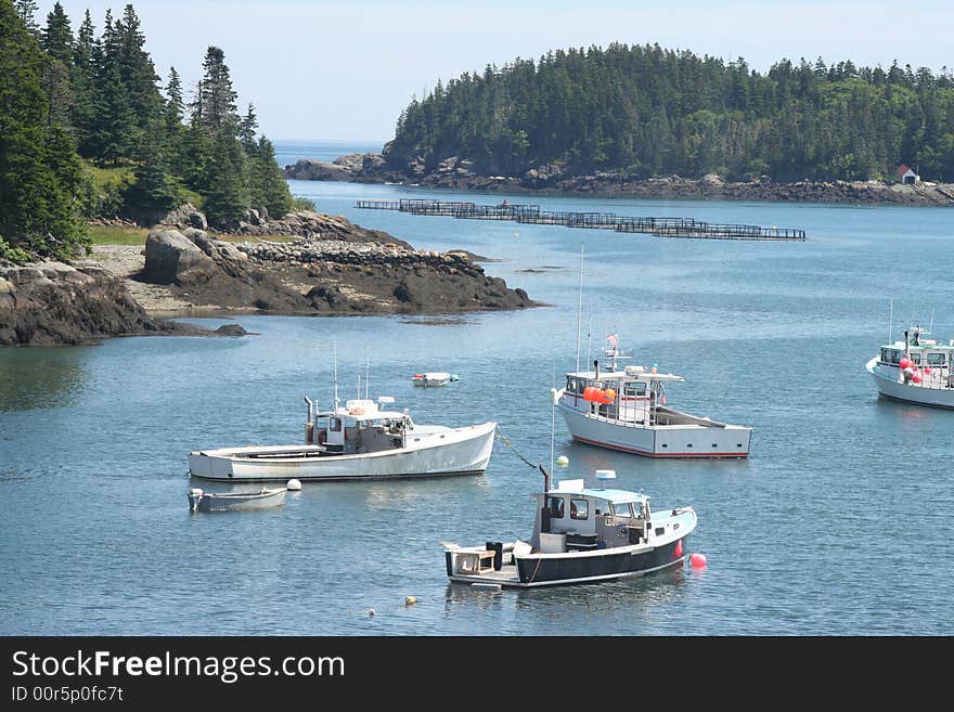 This was taken in the middle of the summer. The place where i took it was in Cutler, Maine along the harbor. This was taken in the middle of the summer. The place where i took it was in Cutler, Maine along the harbor.