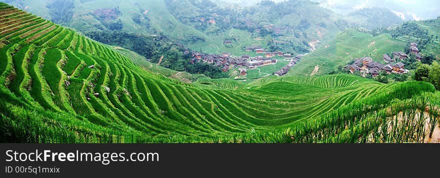 Terraced field and village