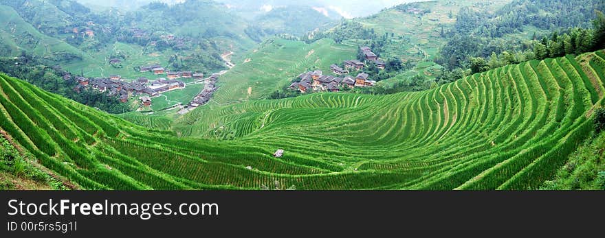 Terraced field and village