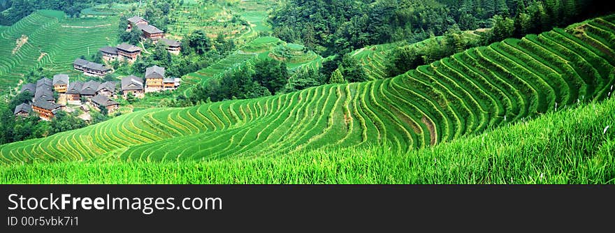 Terraced field and village in GuiLin, GuangXi, China