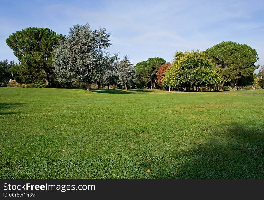 Early Autumn in the park