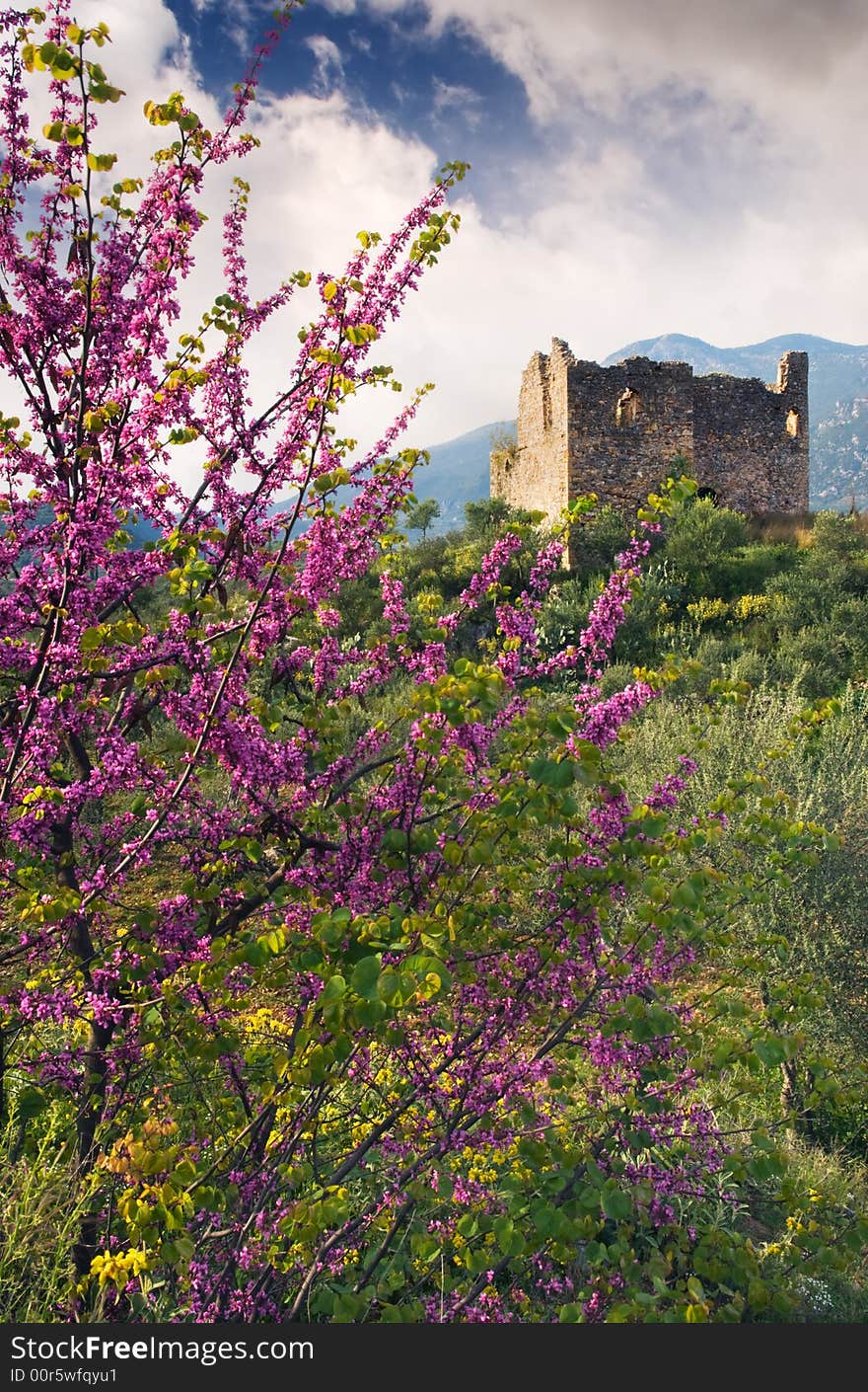 Image shows the ruins of an old tower in Mani peninsula, Greece, behind a violet flower tree. Image shows the ruins of an old tower in Mani peninsula, Greece, behind a violet flower tree