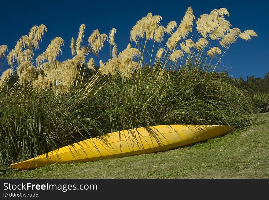 Kayak resting in a shadow of native New Zealand plant. Summer concept. Kayak resting in a shadow of native New Zealand plant. Summer concept