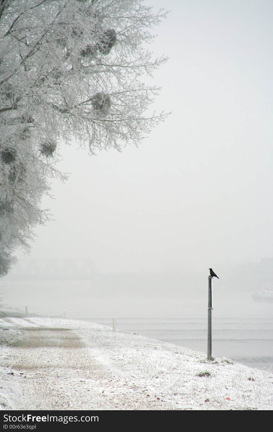 The winter and the crow