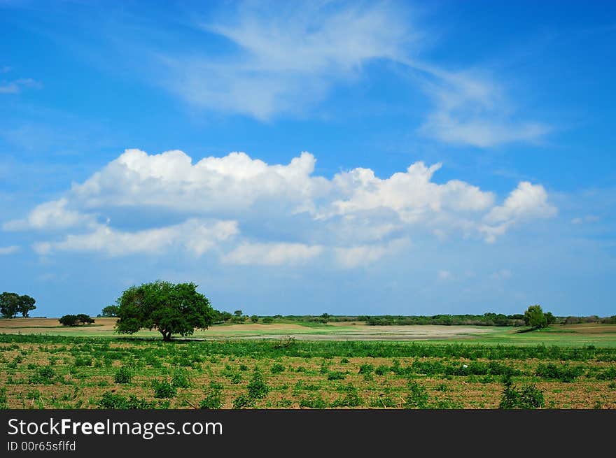 Spring countryside with green fields, cloudy blue sky