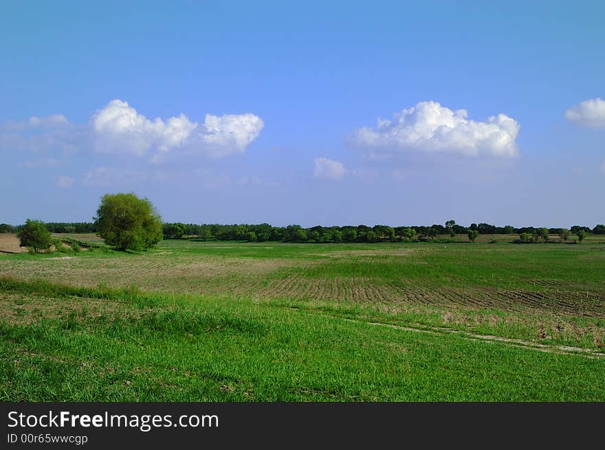 Spring countryside with green fields, cloud blue sky. Spring countryside with green fields, cloud blue sky