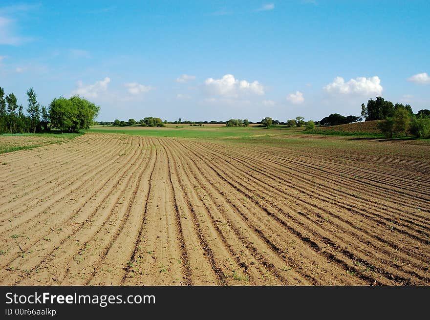 Furrow field