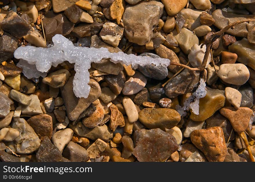 Hydrochloric crystals on small branch, the Dead Sea, Israel