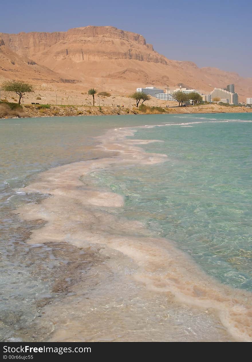 Coastline Of The Dead Sea